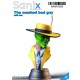 1/10 The Masked Bad Guy Bust with Hat Bust
