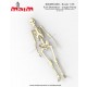 1/35 Human Skeleton Single Bones Set