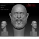 1/35 Bald Head Bearded: Screaming Face Impression #0035 (1pcs)
