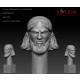 1/35 Iraqi Character Head: Anger Face Impression #0157 (1pcs)
