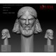 1/35 Iraqi Character Head: Painful Face Impression #0160 (1pcs)