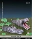 1/35 Animal Set #34 - Hippos