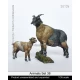 1/35 Animals Set #38