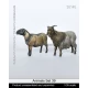 1/35 Animals Set #39