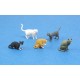 1/35 Cats (5 different types)