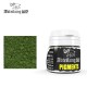 502 Abteilung Pigment - Fresh Moss Green (20ml)