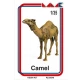 1/35 Camel