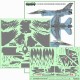 1/48 Polish F-16C RAVEN 100th Anniversary of Polish Air Force (decal)