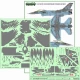1/48 Polish F-16C RAVEN 100th Anniversary of Polish Air Force (decal)