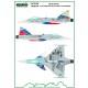 1/48 Czech Gripen 100 Years of Aviation / NTM 2018 Decal for Kitty Hawk/Italieri kit (decal)