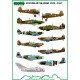 1/72 Stanislaw Skalski planes (decal)