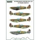 1/72 Spitfire Mk. I/II Polish service (decal)