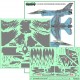 1/72 Polish F-16C RAVEN 100th Anniversary of Polish AF (decal)