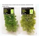 Minipack Natur Fine Bushes - Spring