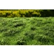 [Premium Line] Grass Mat - Low Bushes, Early Summer (Size: 18x28cm / 7"x11")