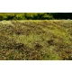 [Premium Line] Grass Mat - Low Bushes, Autumn Colour (Size: 18x28cm / 7