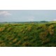 [Premium Line] Grass Mat - Fallow Field, Early Summer (Size: 18x28cm / 7"x11")