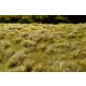 Fallow Field Grass Mat - Late Summer (Size: 18 x 28 cm)