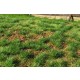 [Premium Line] Grass Mat - Steppe Green (Early Summer) (Size: 18x28cm / 7"x11")
