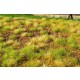 [Premium Line] Grass Mat - Steppe Unwatered (Late Summer) (Size: 18x28cm / 7"x11")