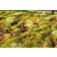 Stony Steppe Grass Mat w/Stones - Late Summer Mini Pack (Size: 13 x 17 cm)