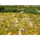 Grass Mat w/Calc Stones - Late Summer Mini Pack (Size: 13 x 17 cm)