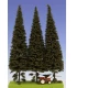Spruce with Short Trunk 230-270mm (3pcs)