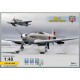 1/48 Soviet Yakovlev Yak-1 Fighter On Skis