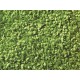 Leaves (light green, 50g) For G,O,HO,TT,N,Z Scale