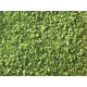 Leaves (light green, 50g) For G,O,HO,TT,N,Z Scale
