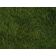 Wild Grass Foliage (light green, 200 x 230 mm, 0.05 qm)