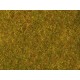 Meadow Foliage (yellow green, 200 x 230 mm, 0.05 qm)