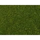 Leafy Foliage (middle green, 200 x 230 mm, 0.05 qm)