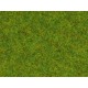 Scatter Grass "Spring Meadow" (length: 1.5 mm, 20g)