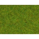 Scatter Grass "Spring Meadow" (length: 2.5 mm, 20g)