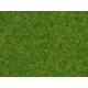 Scatter Grass "Ornamental Lawn" (length: 2.5 mm, 20g)