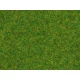 Scatter Grass "Ornamental Lawn" (length: 2.5 mm, 20g)
