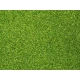 Scatter Material (lightgreen, 42g) For G,O,HO,HOE,HOM,TT,N,Z Scale