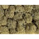 Lichen (stone-grey, 35g) For G,O,HO,HOE,HOM,TT,N,Z Scale