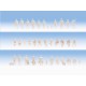 HO Scale Unpainted Figures (72pcs)
