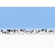 HO Scale Black-white Cows (7 figures)