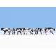 HO Scale Cows