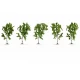 HO, TT, N, Z Scale Birch Trees (5pcs, approx. 10 cm high)