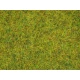 G,O,HO,TT,N,Z Scale Scatter Grass "Summer Meadow" (Length: 2.5mm, 100g)