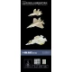 1/350 Lockheed Martin F-35C (2 Sets: Resin+PE+Decals)