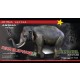 1/35 Asian Elephant Ver. B (resin male Elephant)