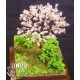 1/35 Cherry Blossoms - Paper Plant kit