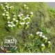 1/35 Daisy - Paper Plant kit