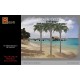 1/48 Large Palm Trees Set A (3 Trees, 8.5" Tall)