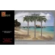 1/48 Large Palm Trees Set A (3 Trees, 8.5" Tall)